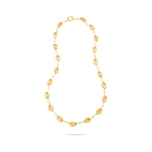 Shell Link Chain