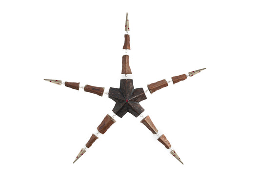 The Morphing Starfish